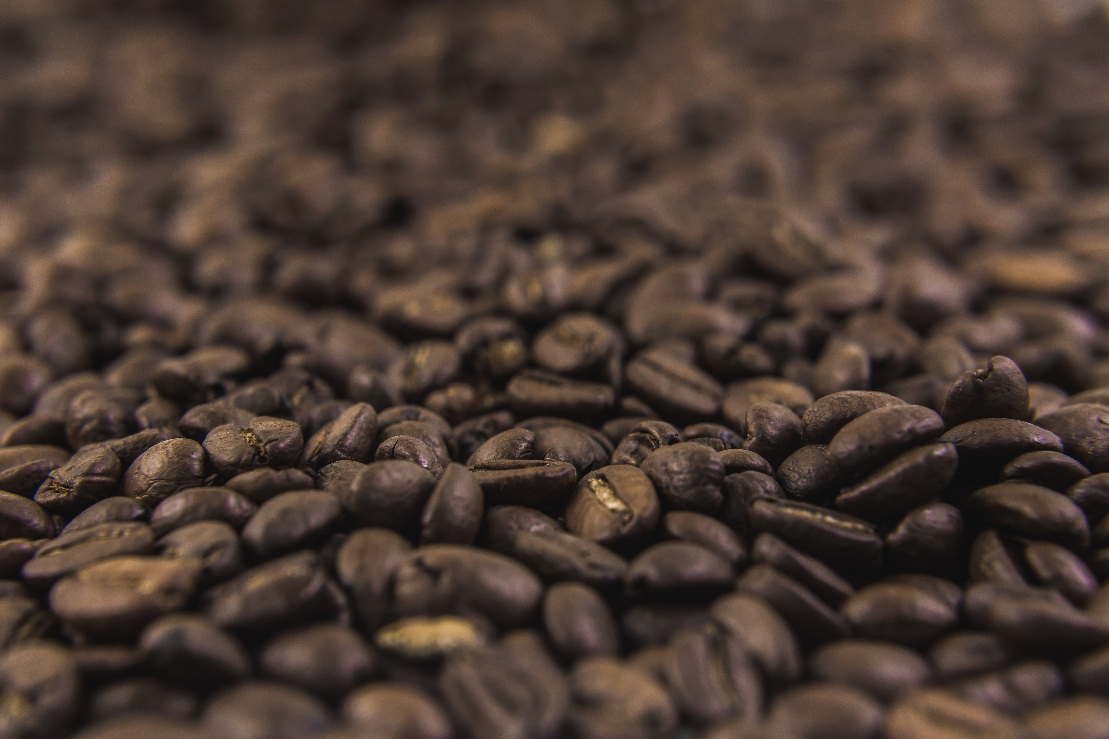 Sapphire Coffee — selected work